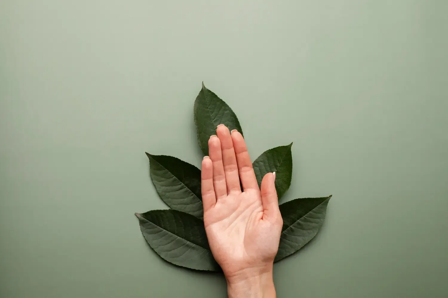 Handpatienten